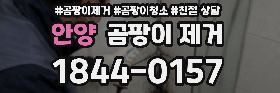 안양 곰팡이 제거