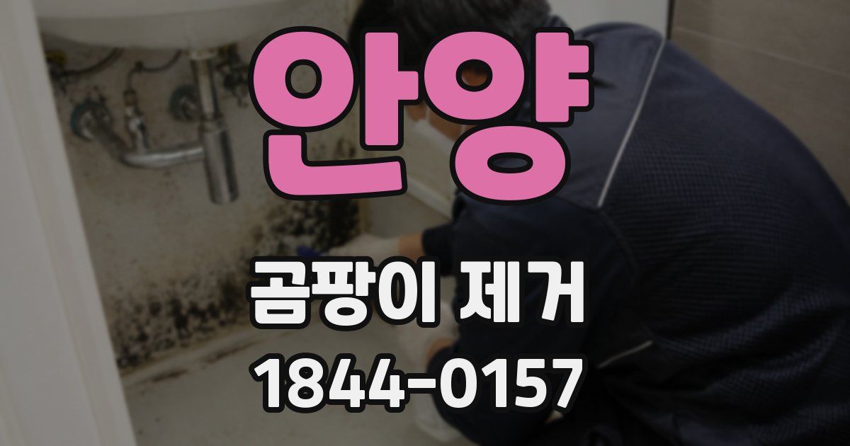 안양 곰팡이 제거