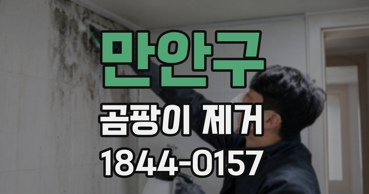 만안구 곰팡이 제거