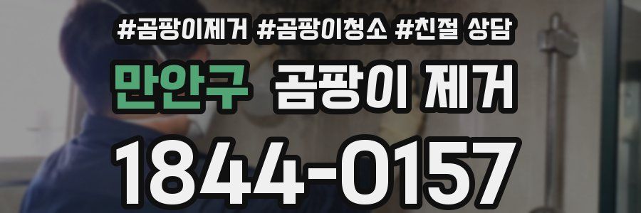 만안구 곰팡이 제거