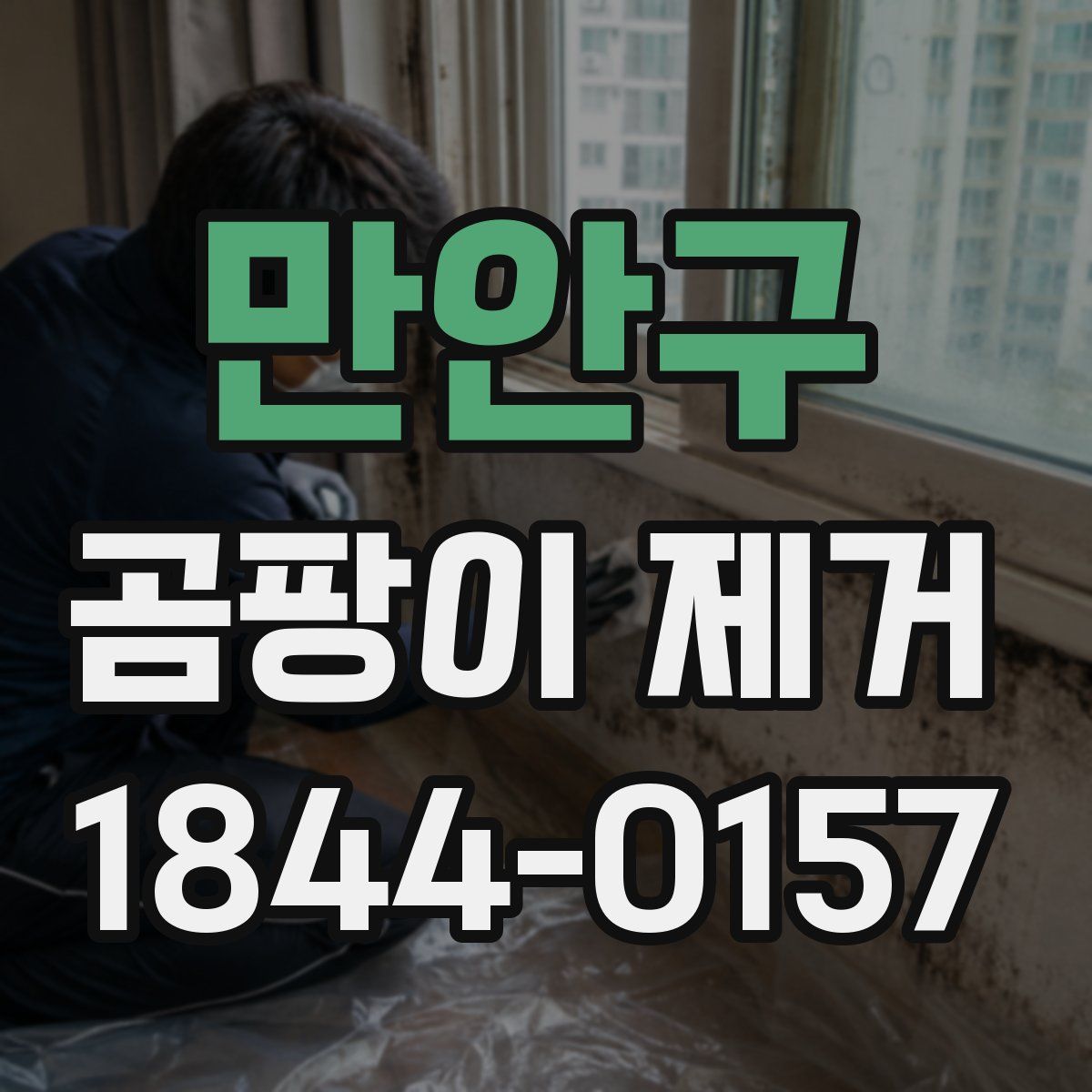 만안구 곰팡이 제거