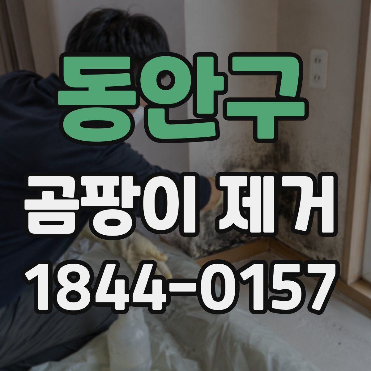 동안구 곰팡이 제거 주방 주변 오염이 생기는 경로