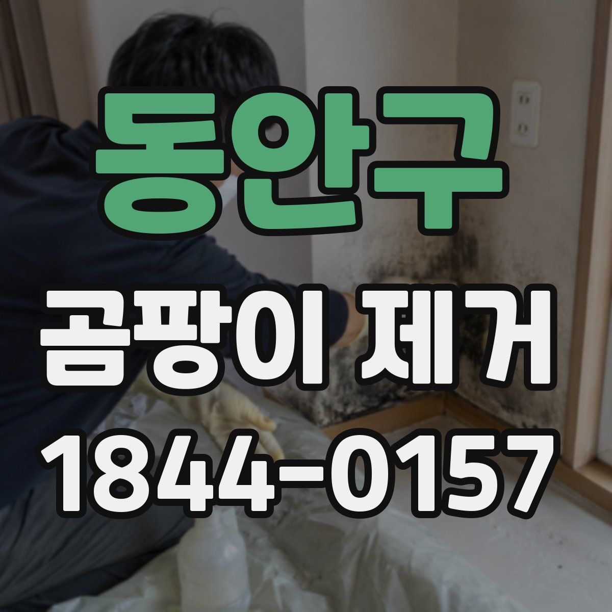 동안구 곰팡이 제거