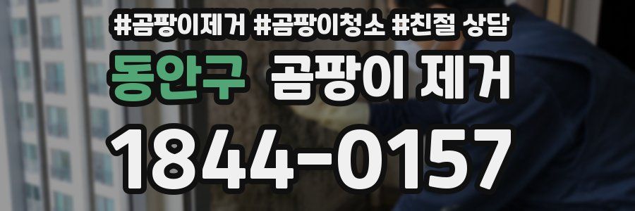 동안구 곰팡이 제거