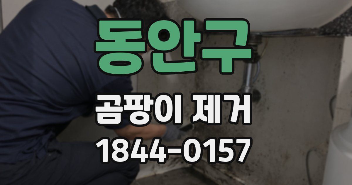 동안구 곰팡이 제거