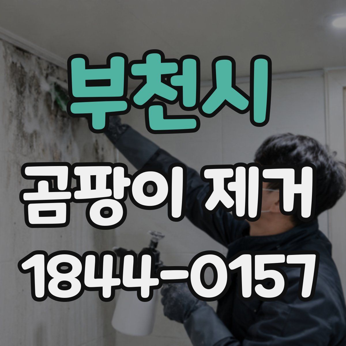 부천시 곰팡이 제거