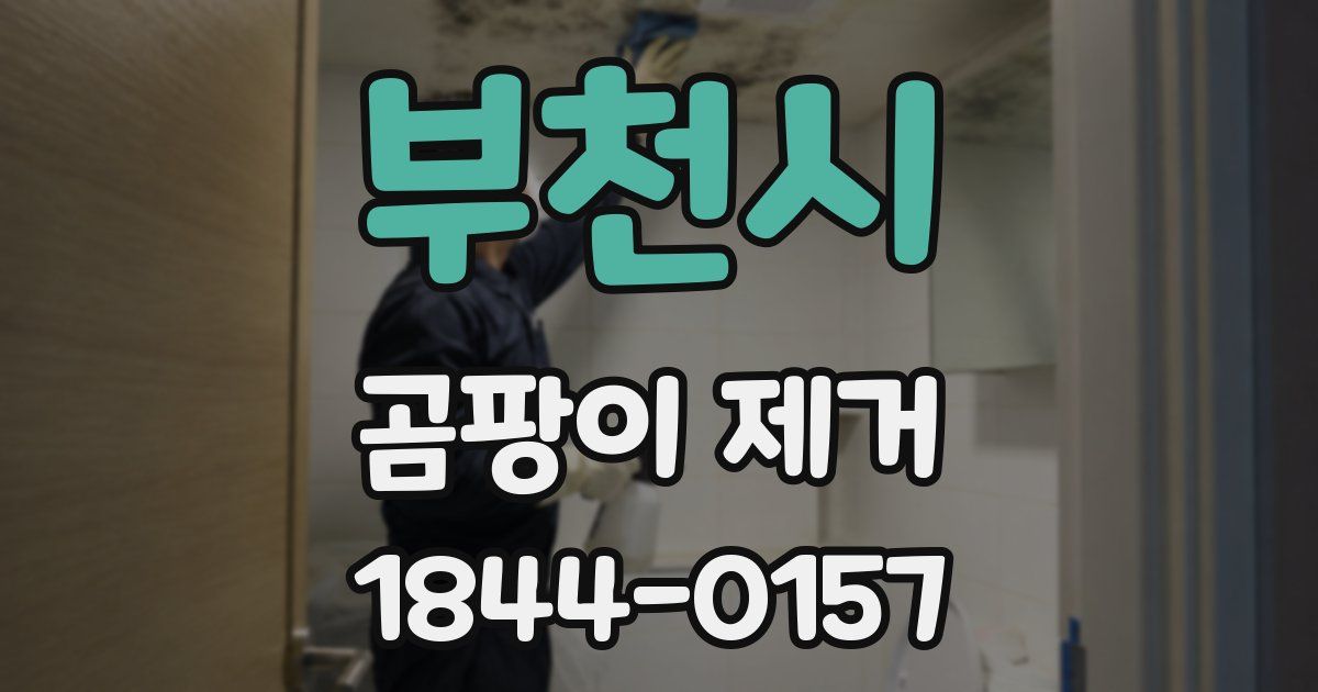 부천시 곰팡이 제거