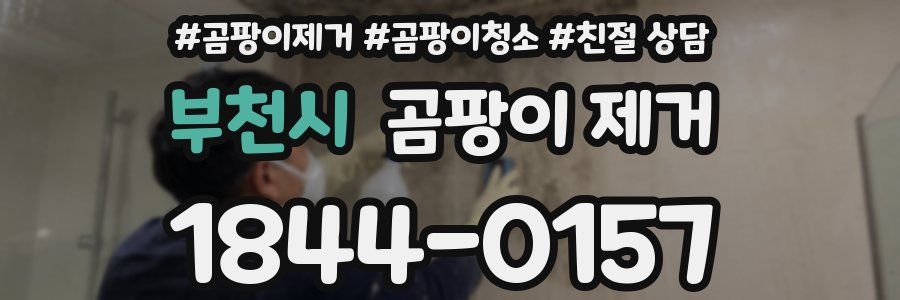 부천시 곰팡이 제거