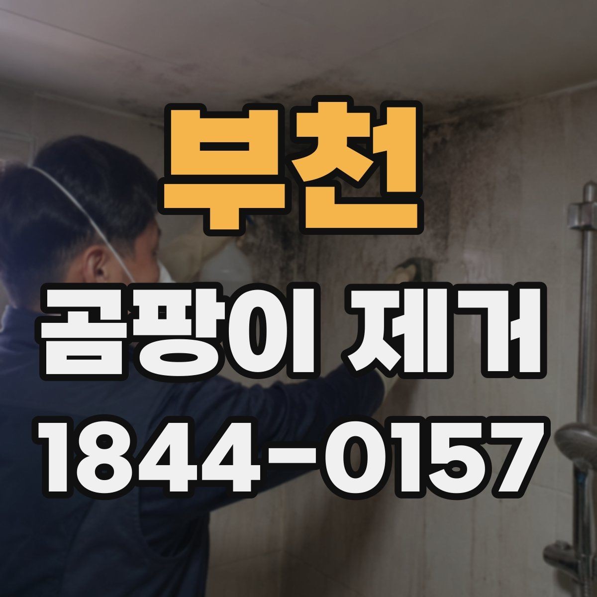 부천 곰팡이 제거 작업을 나눠서 진행하는 경우
