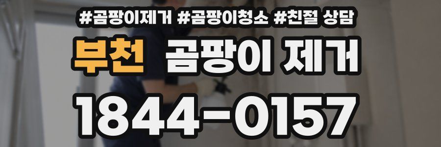 부천 곰팡이 제거