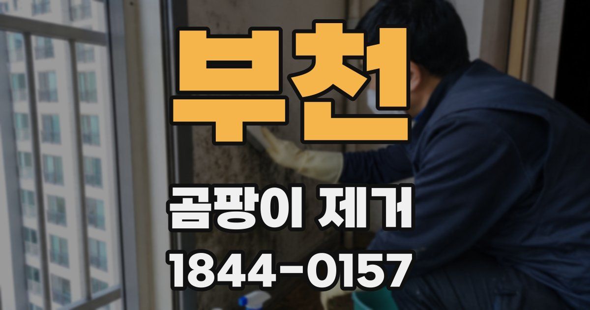 부천 곰팡이 제거