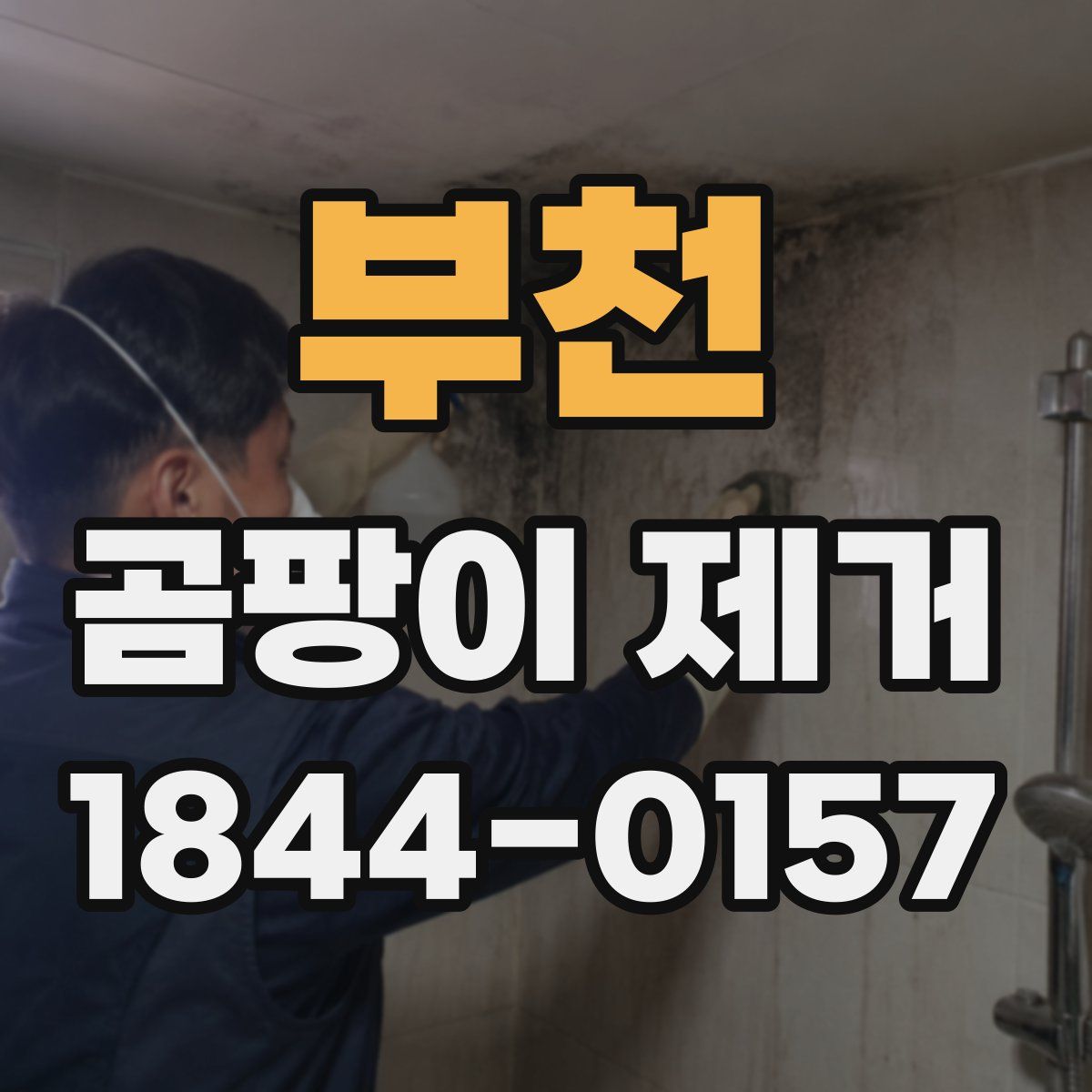 부천 곰팡이 제거