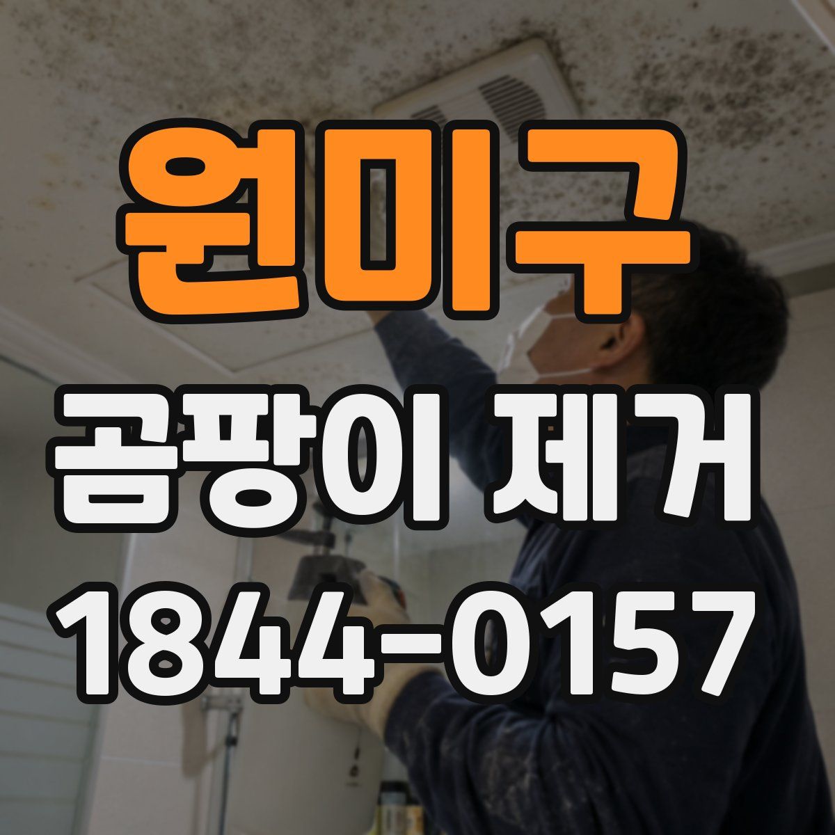 원미구 곰팡이 제거