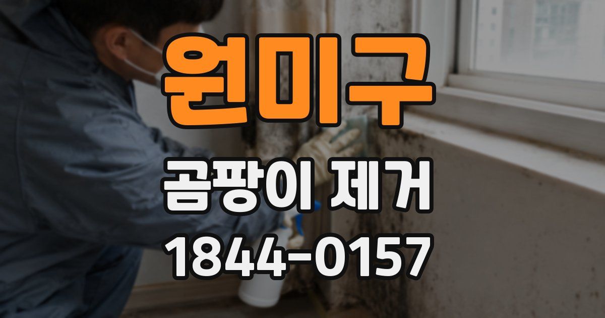 원미구 곰팡이 제거