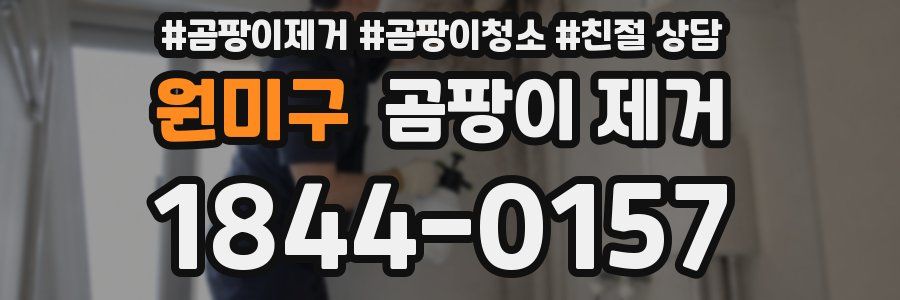 원미구 곰팡이 제거
