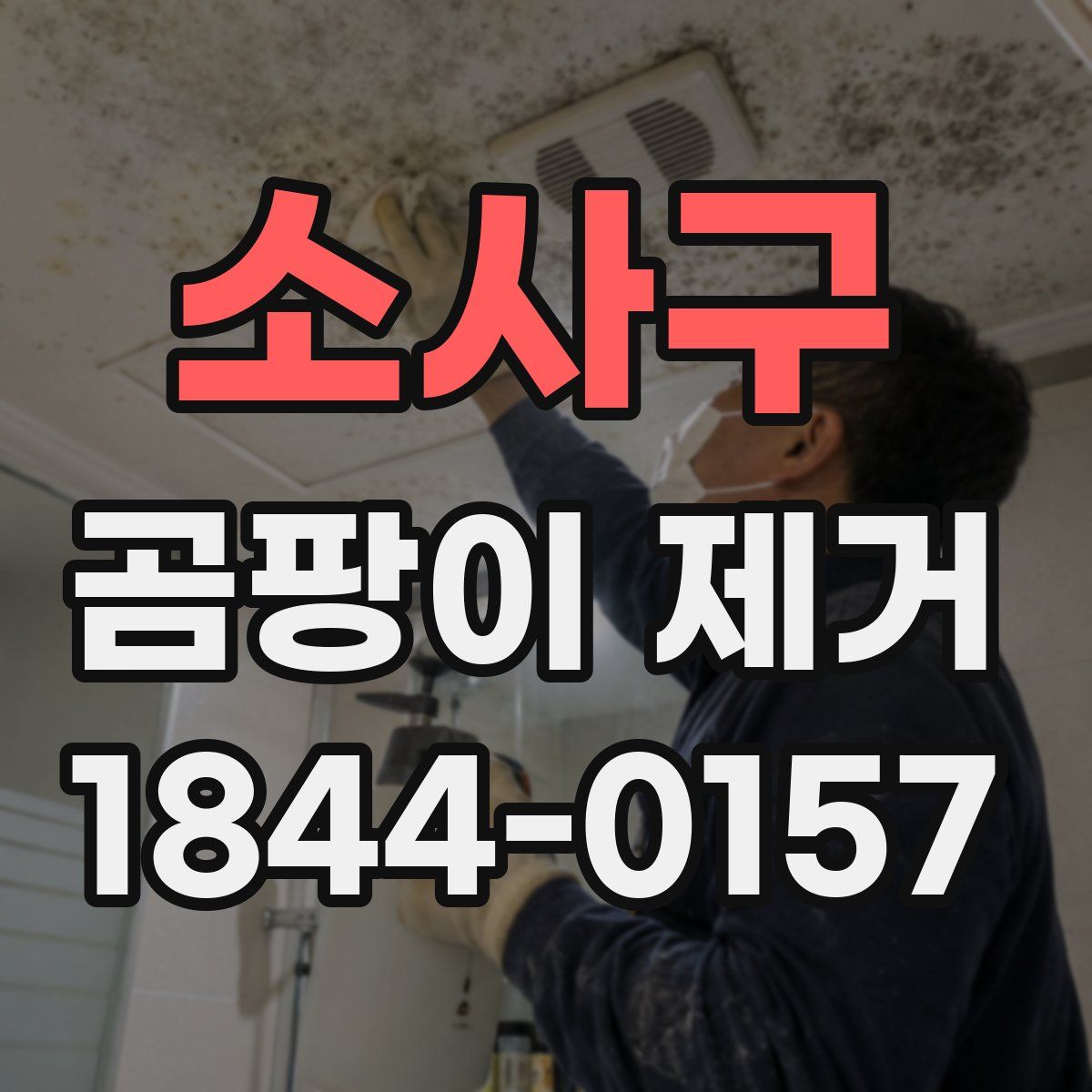 소사구 곰팡이 제거