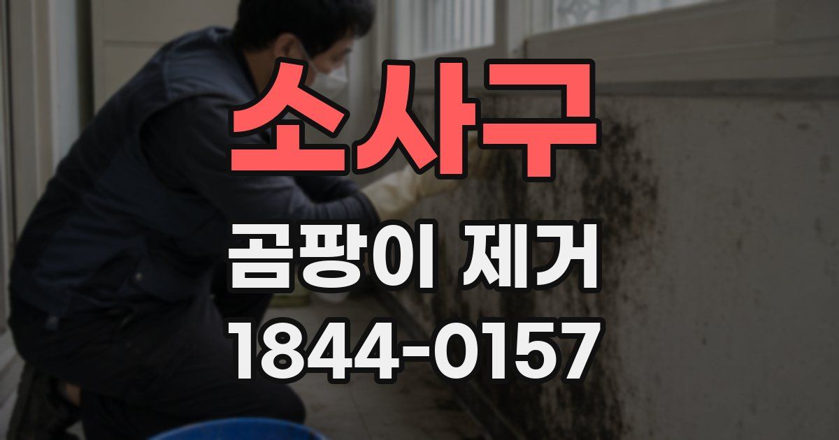 소사구 곰팡이 제거
