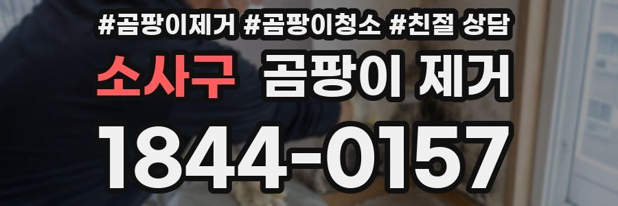 소사구 곰팡이 제거