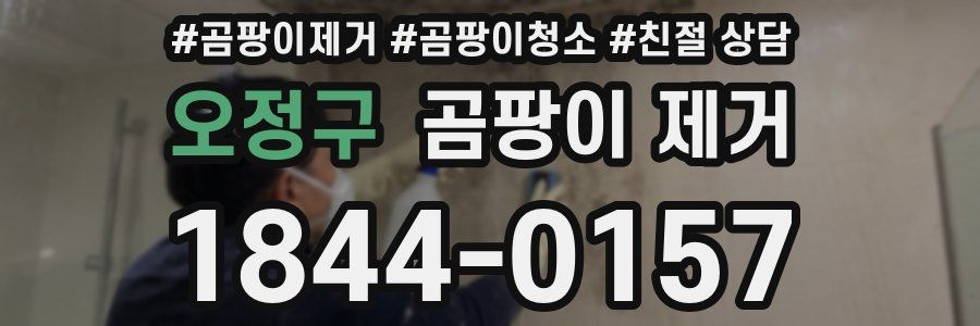 오정구 곰팡이 제거