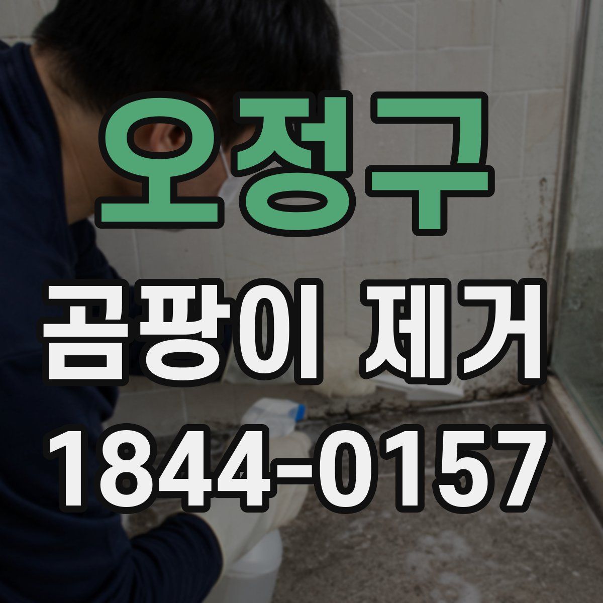 오정구 곰팡이 제거