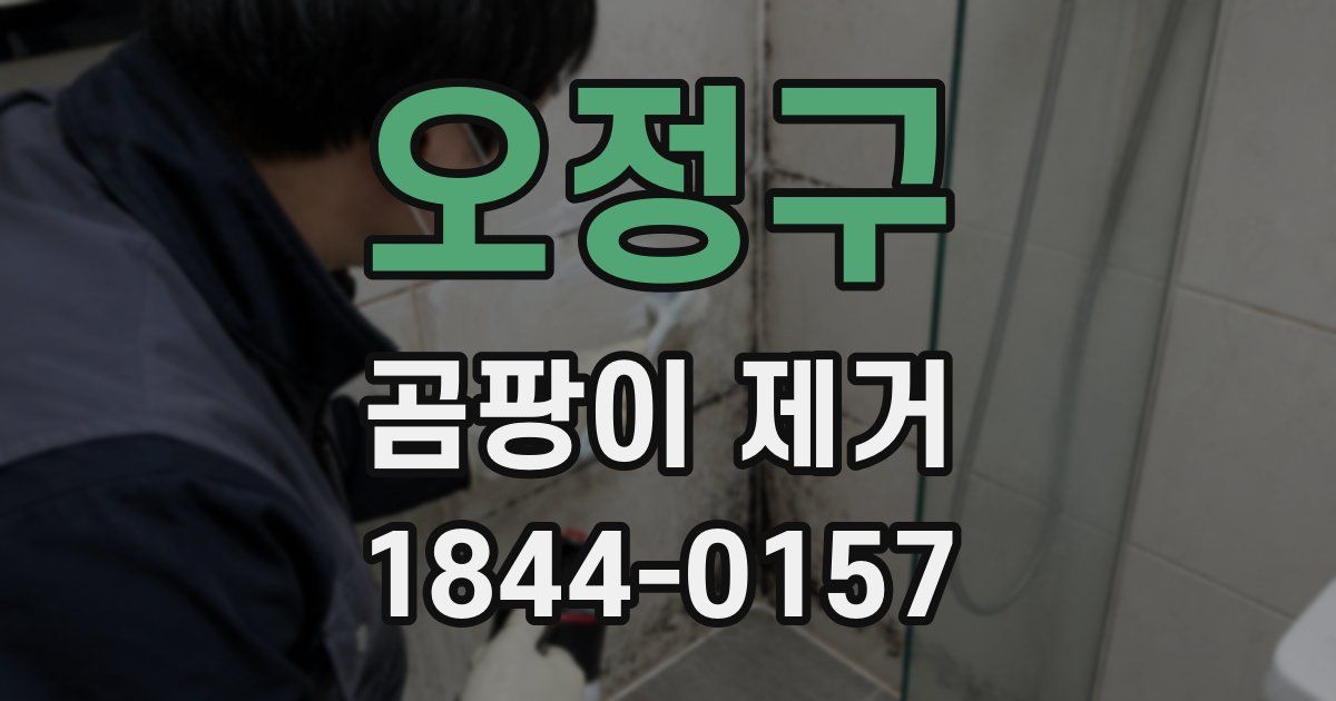 오정구 곰팡이 제거