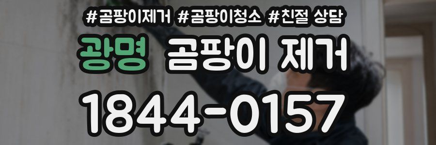 광명 곰팡이 제거