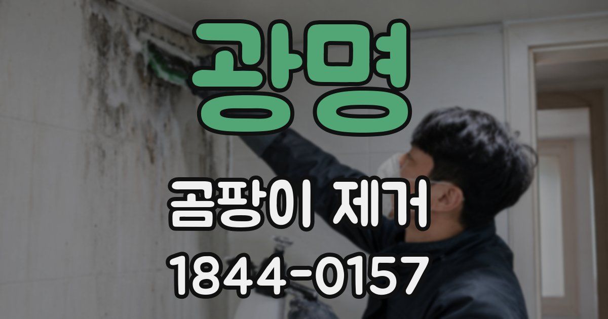 광명 곰팡이 제거
