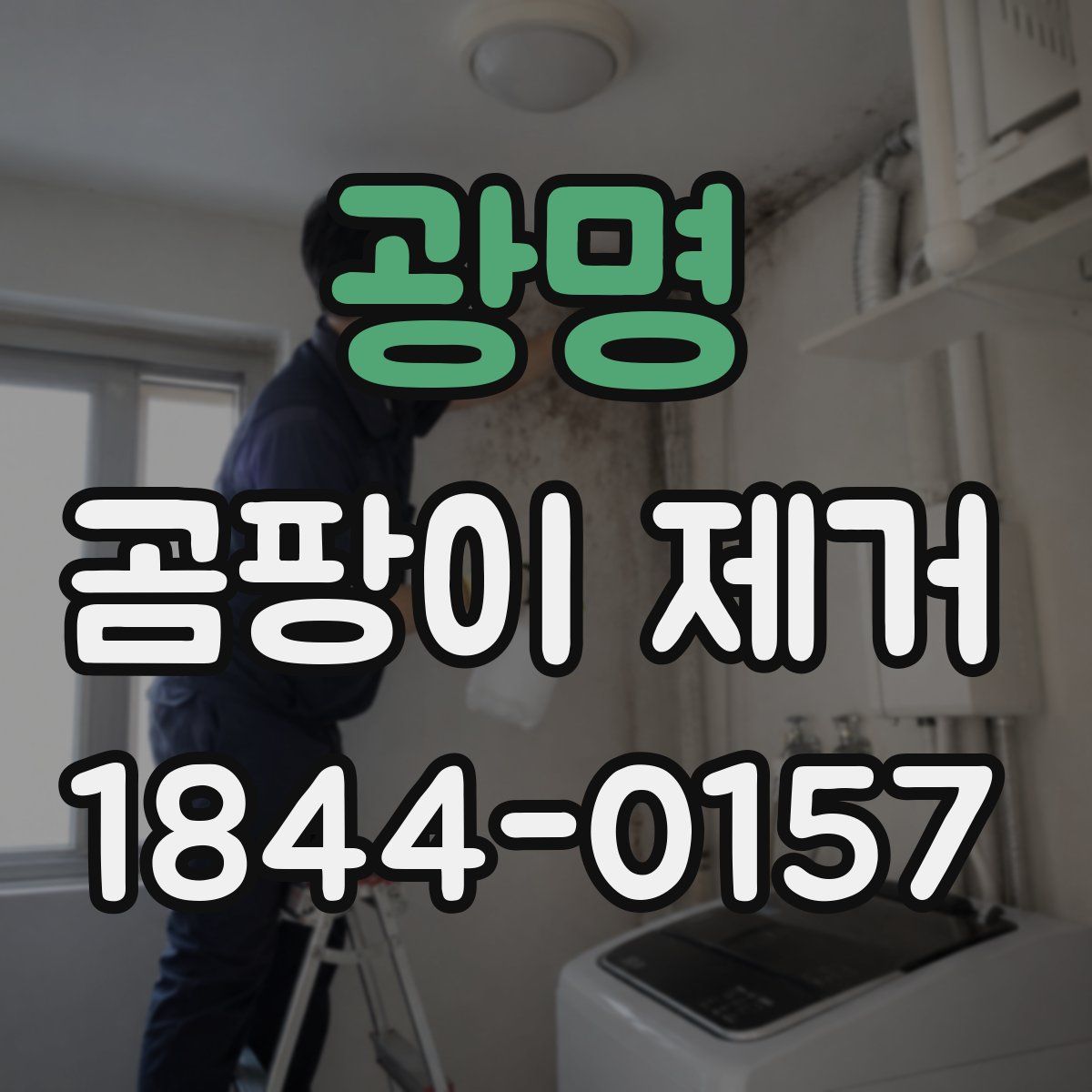 광명 곰팡이 제거