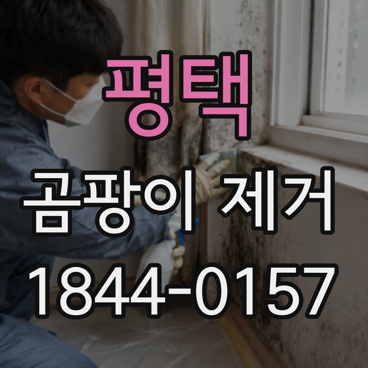 평택 곰팡이 제거