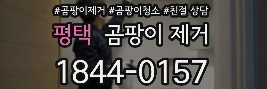 평택 곰팡이 제거