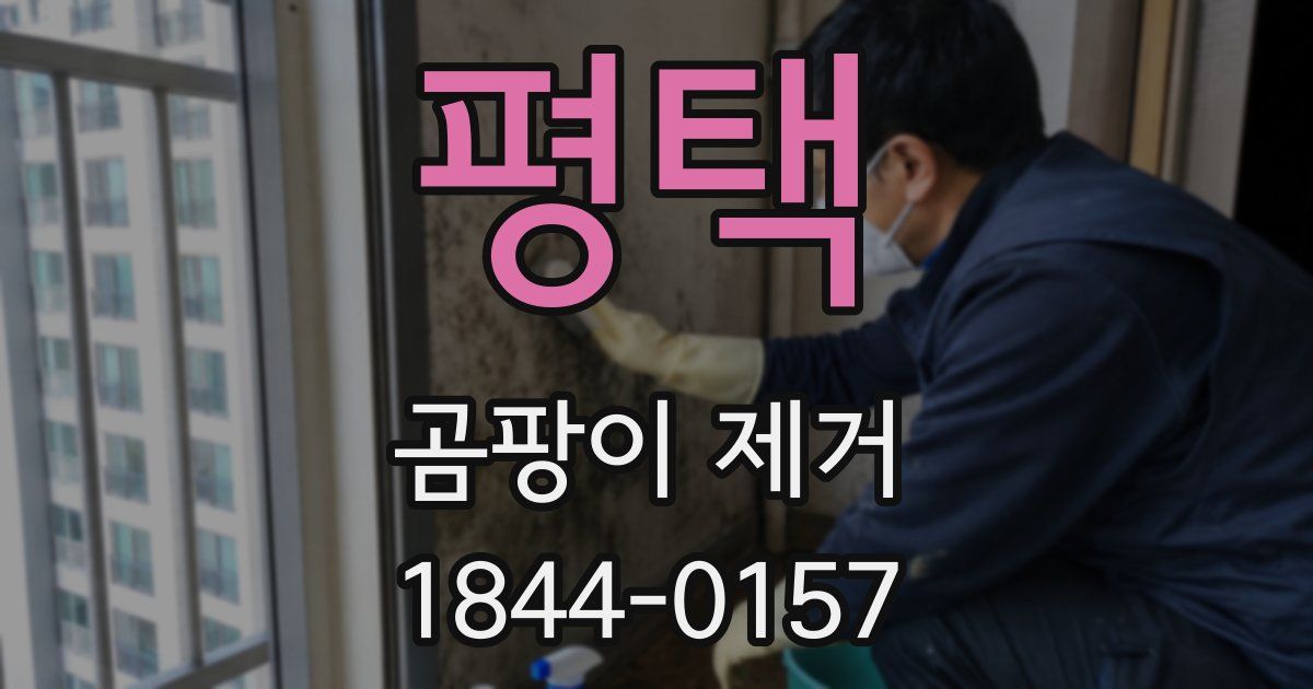 평택 곰팡이 제거