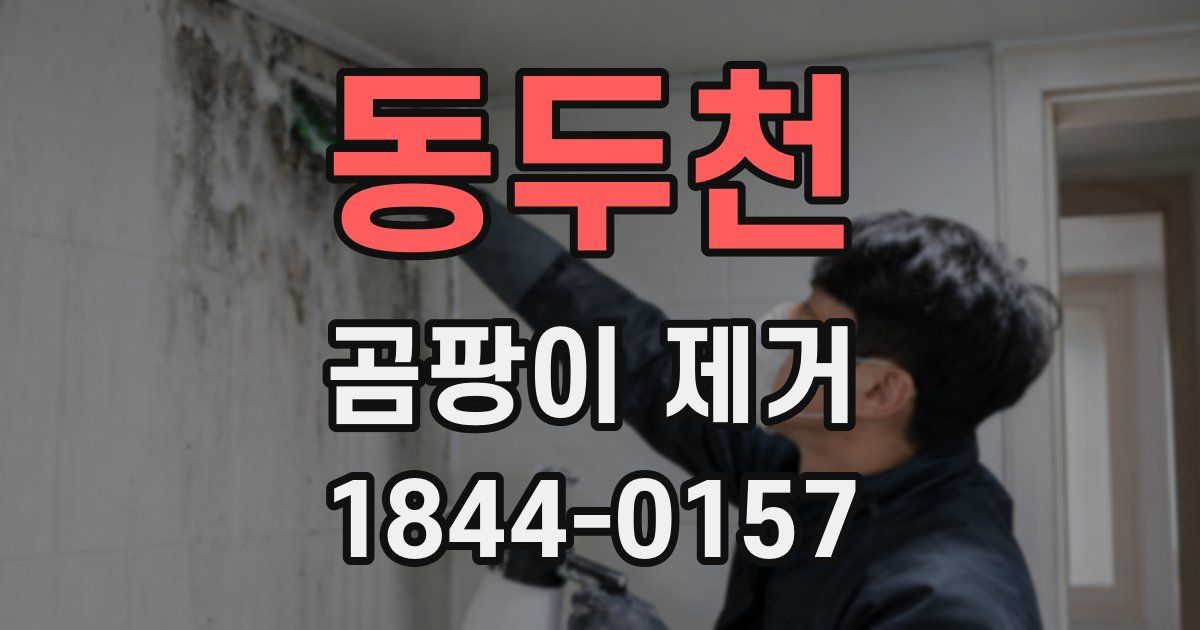 동두천 곰팡이 제거