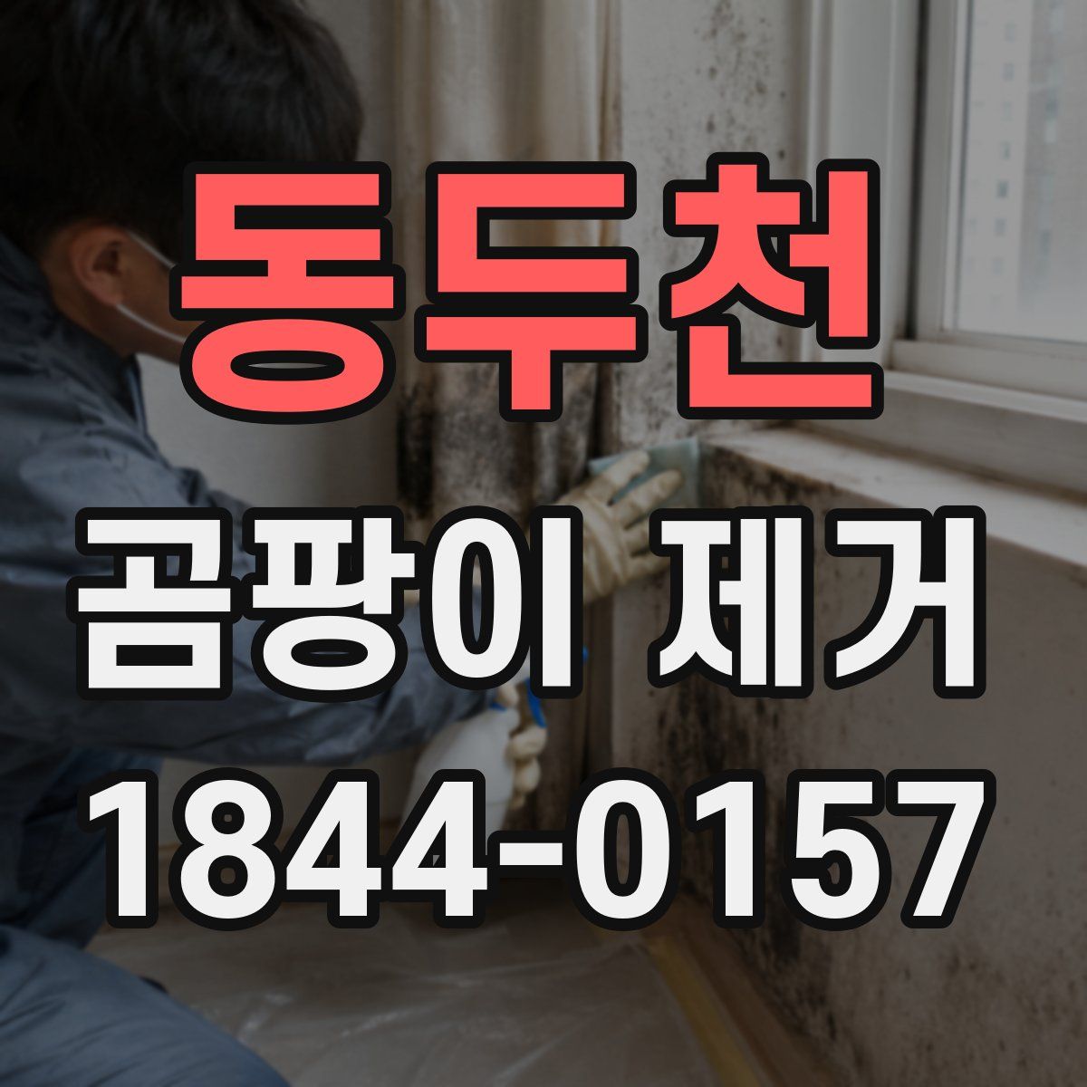 동두천 곰팡이 제거
