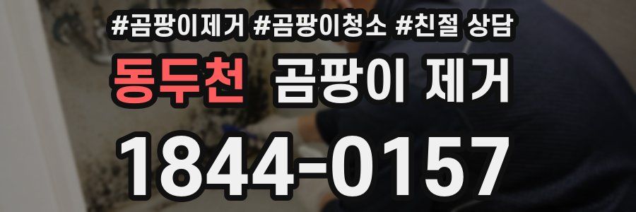 동두천 곰팡이 제거
