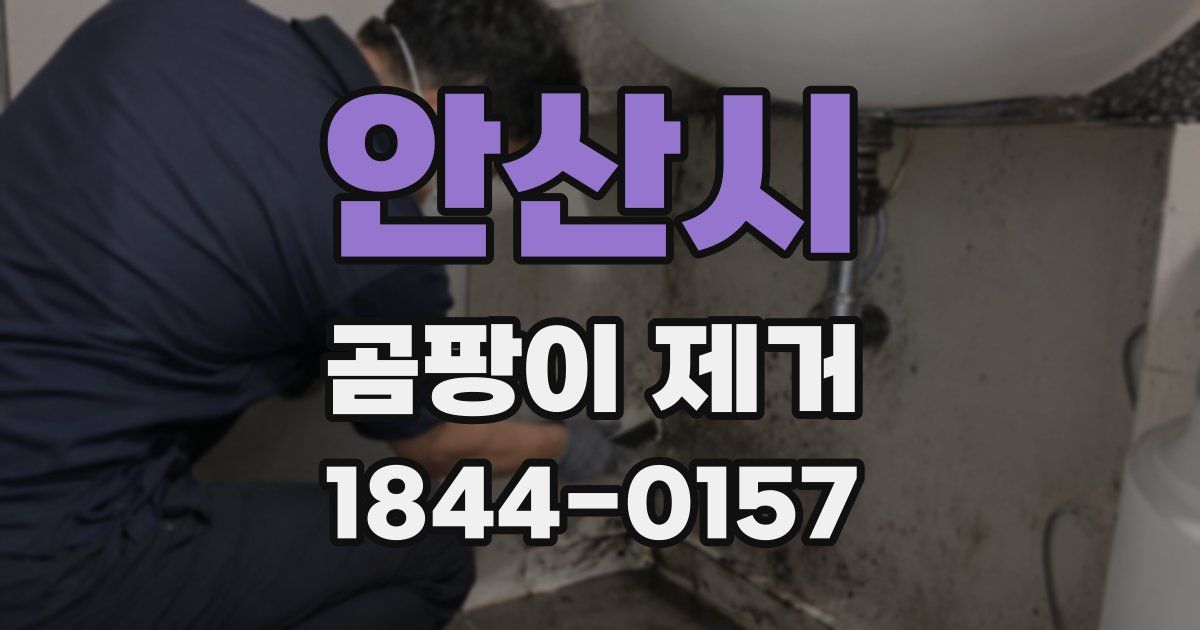 안산시 곰팡이 제거
