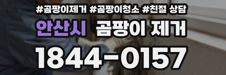 안산시 곰팡이 제거