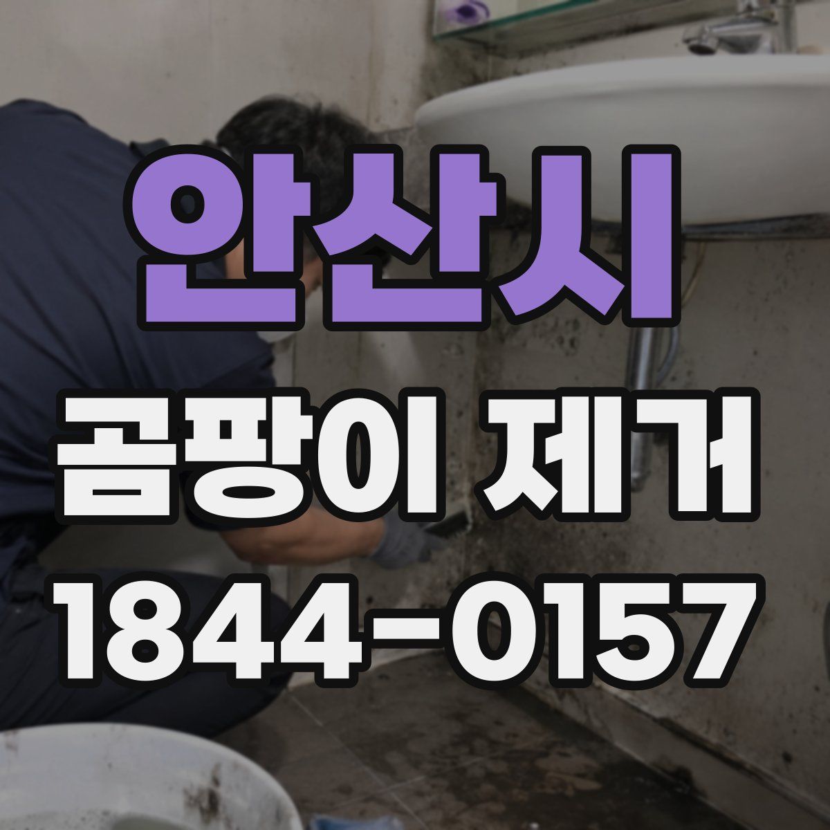 안산시 곰팡이 제거