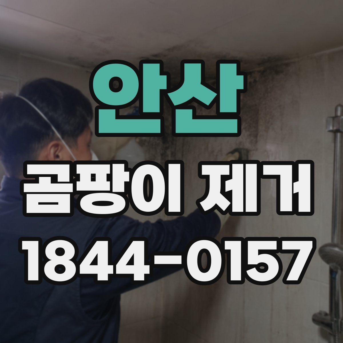 안산 곰팡이 제거