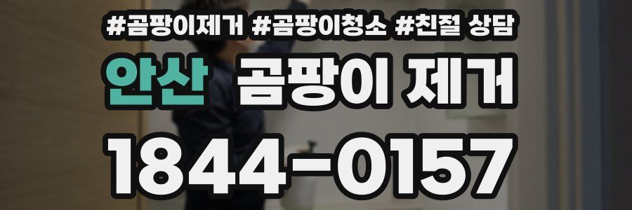 안산 곰팡이 제거