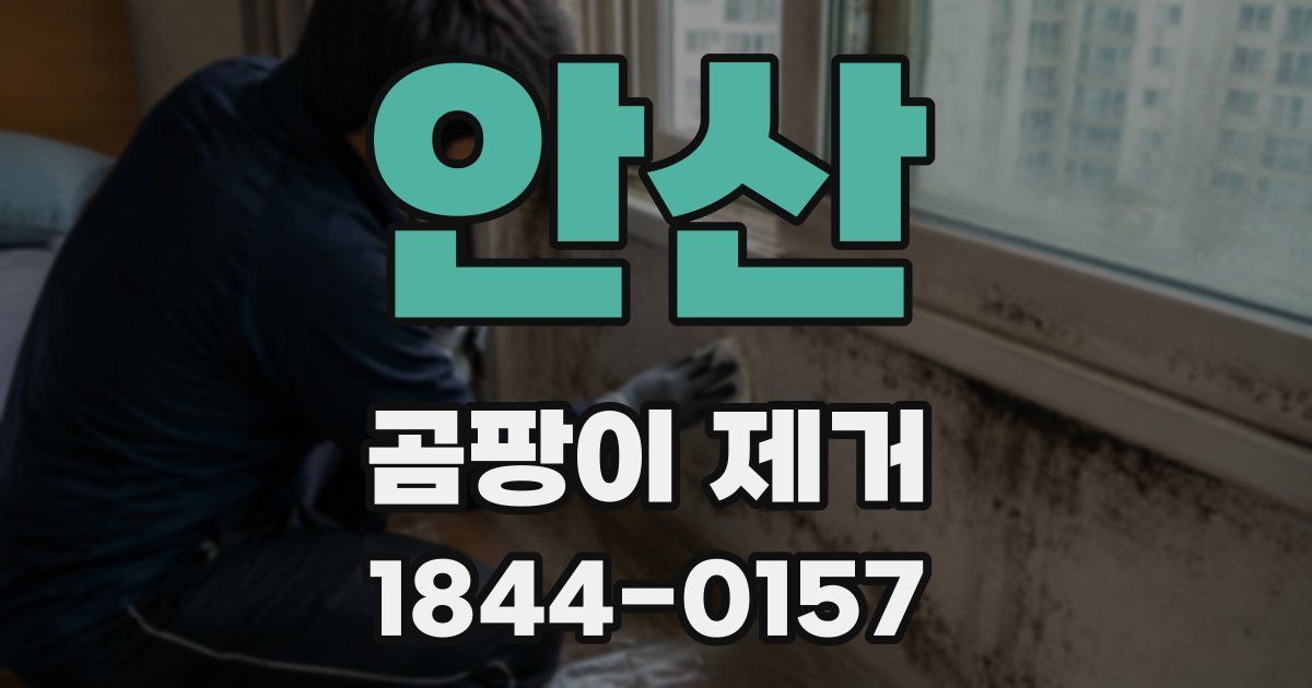안산 곰팡이 제거