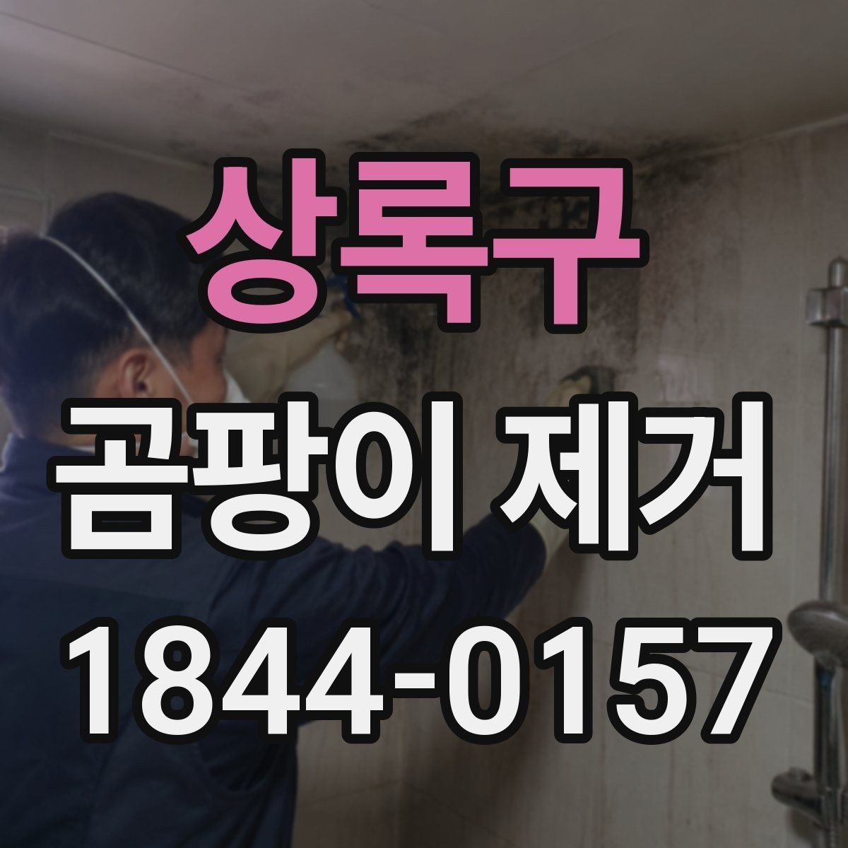 상록구 곰팡이 제거 시 마스크와 환기가 중요한 이유