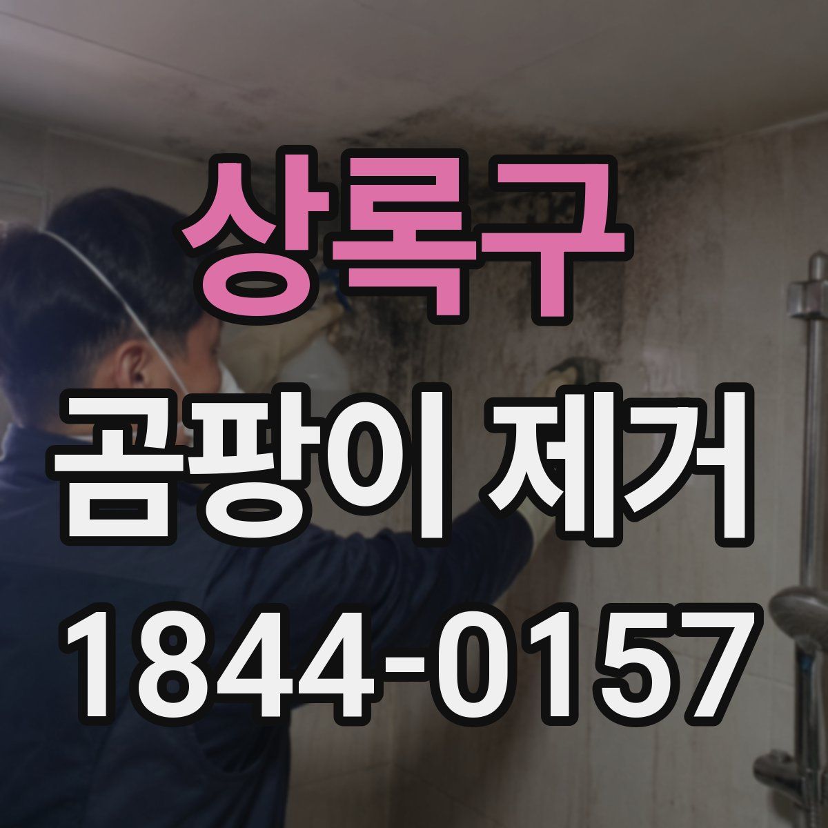 상록구 곰팡이 제거
