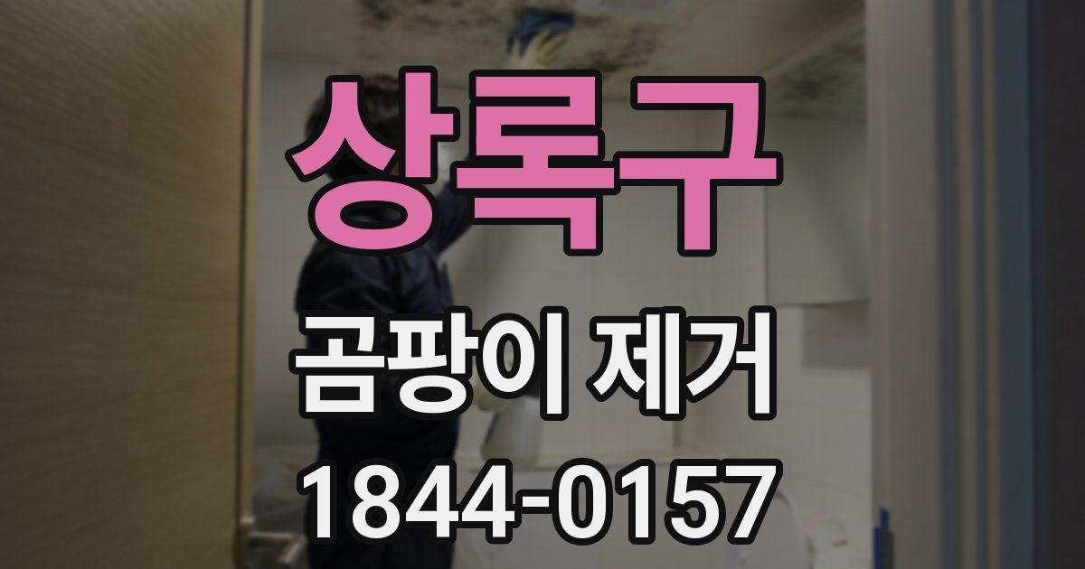 상록구 곰팡이 제거