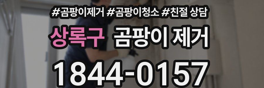 상록구 곰팡이 제거