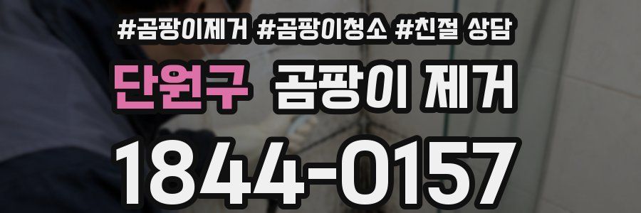 단원구 곰팡이 제거