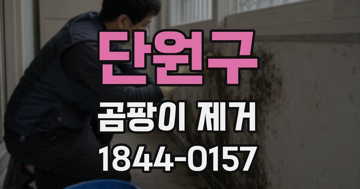 단원구 곰팡이 제거