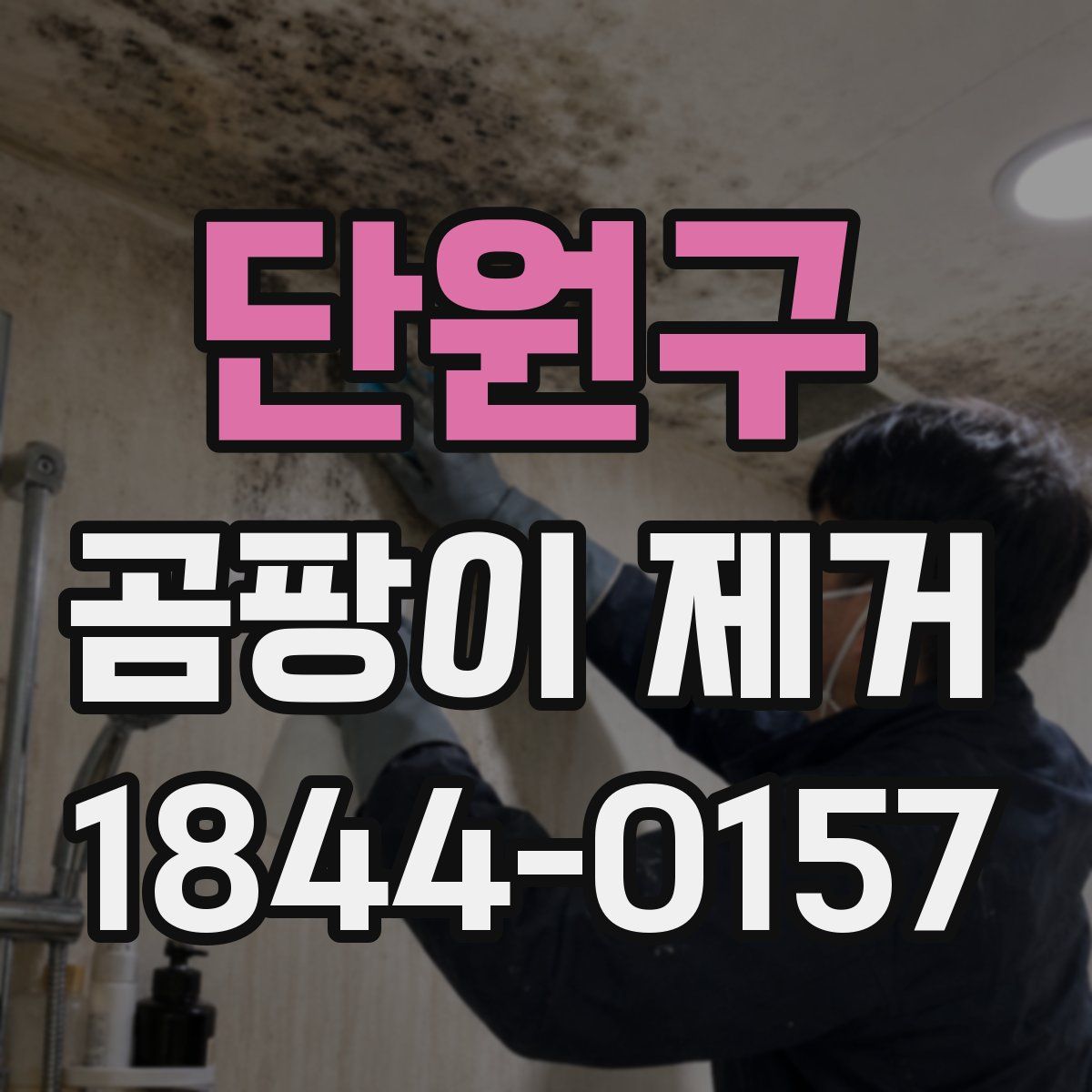 단원구 곰팡이 제거