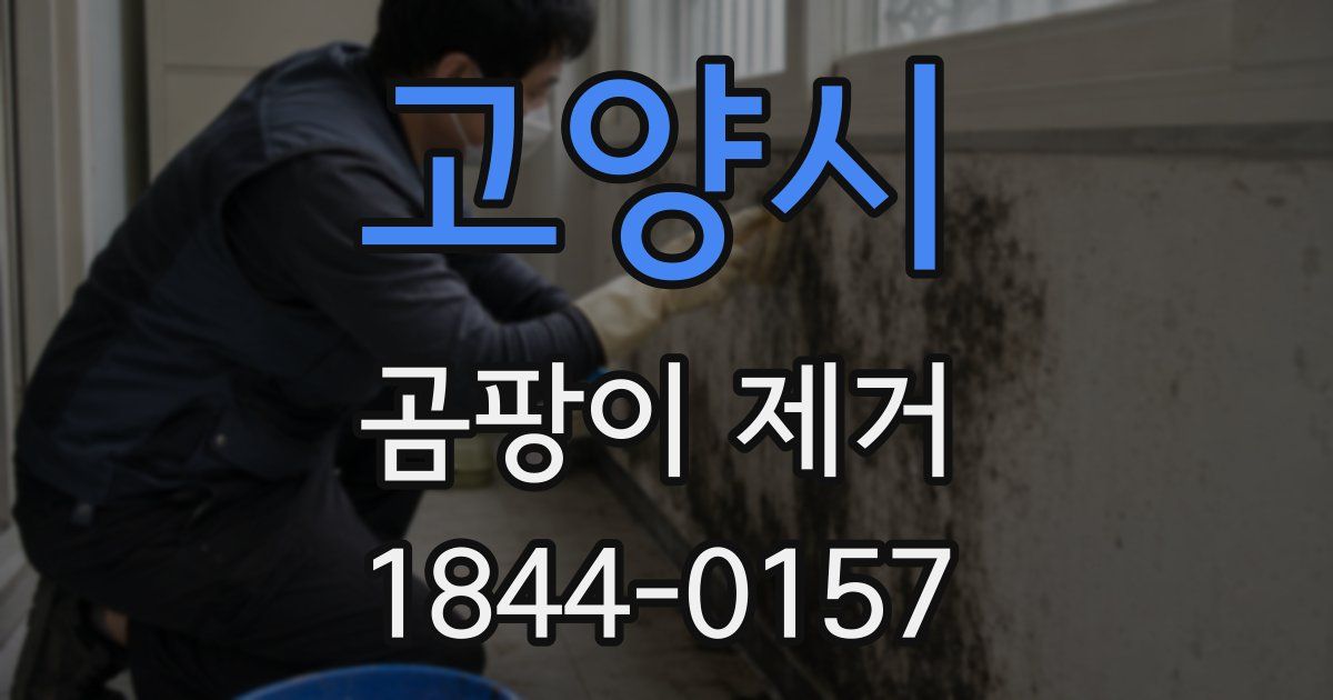 고양시 곰팡이 제거