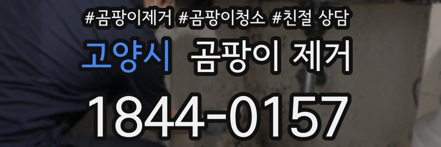 고양시 곰팡이 제거