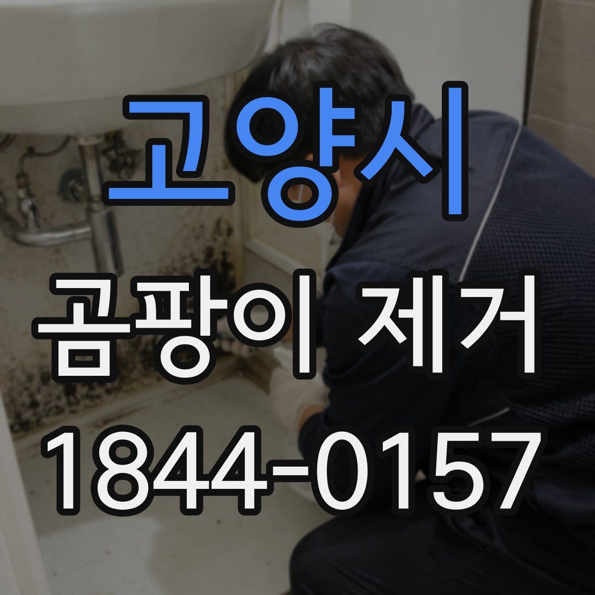 고양시 곰팡이 제거